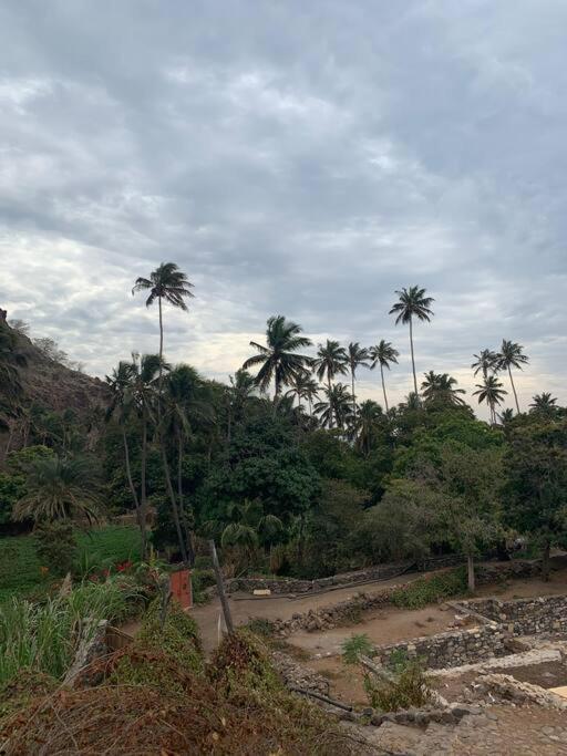 Casa Aloe Vera - Private House W/ Free Breakfast Cidade Velha المظهر الخارجي الصورة