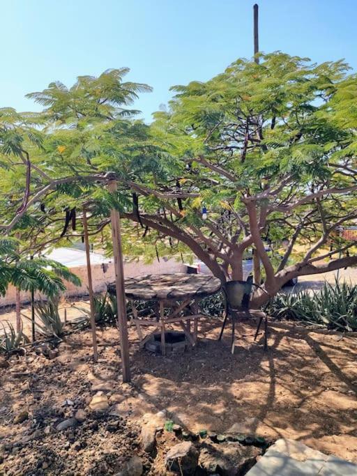 Casa Aloe Vera - Private House W/ Free Breakfast Cidade Velha المظهر الخارجي الصورة